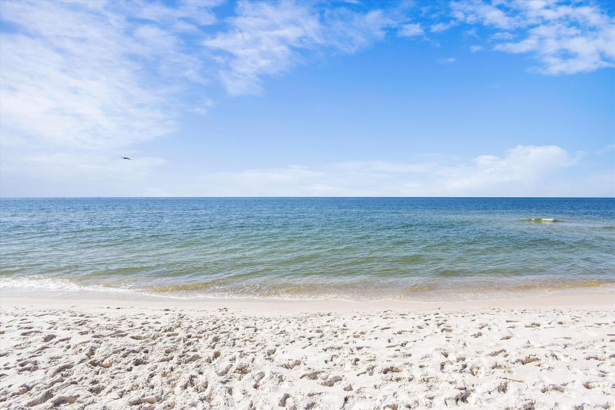 Tradewinds Unit 608 Villa Orange Beach Exteriör bild